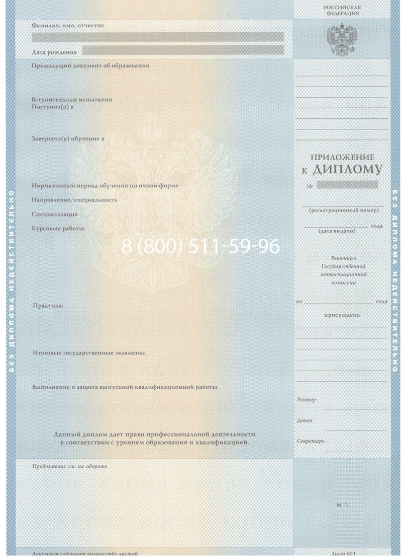 Заказать Диплом бакалавра 2003-2009 годов в Елце Заказать Диплом бакалавра 2003-2009 годов в Елце