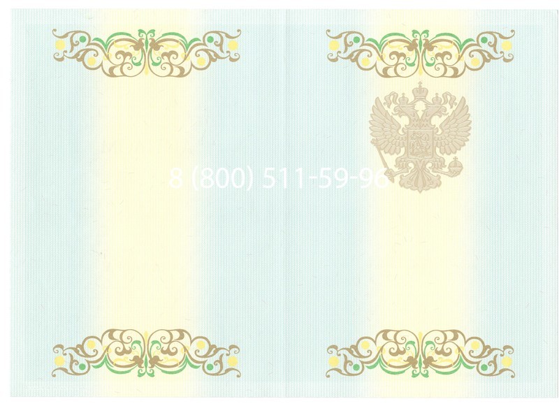 Купить Диплом бакалавра 2012-2013 годов в Елце Купить Диплом бакалавра 2012-2013 годов в Елце