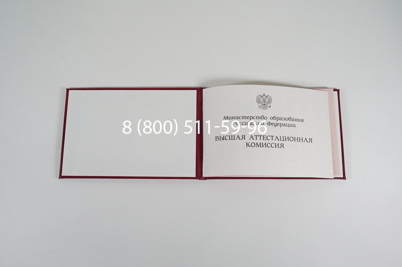 Диплом доктора наук 1995-2006 года в Елце Диплом доктора наук 1995-2006 года в Елце
