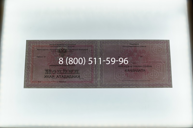 Заказать Диплом кандидата наук 2010 в Елце