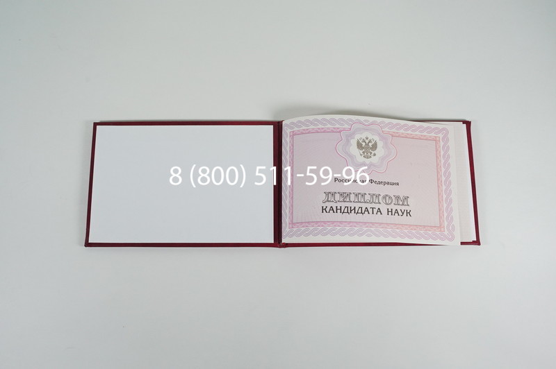 Заказать Диплом кандидата наук 2010 в Елце