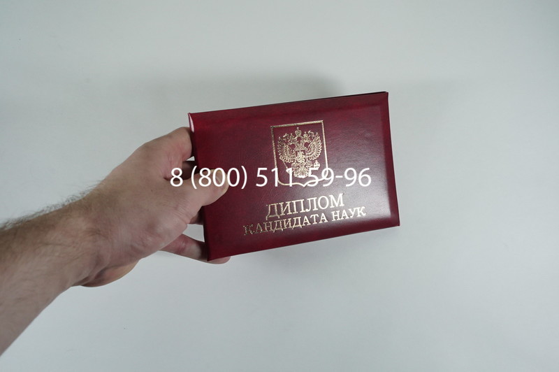 Диплом кандидата наук 2010 в Елце