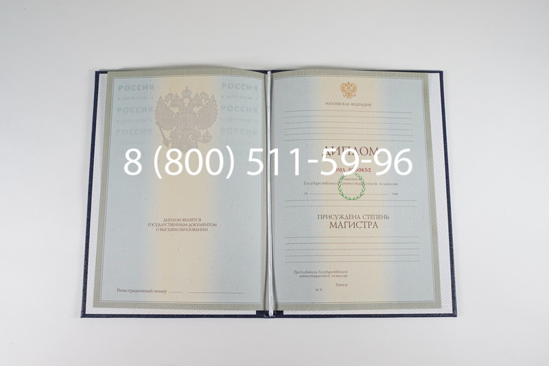 Диплом магистра 2003-2009 годов в Елце Диплом магистра 2003-2009 годов в Елце