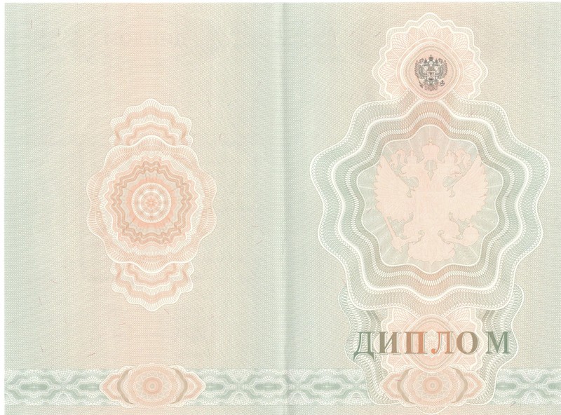 Купить Диплом о начальном образовании 2007-2009 годов в Елце Купить Диплом о начальном образовании 2007-2009 годов в Елце