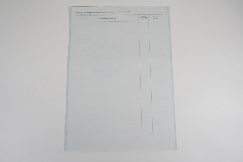 Диплом о начальном образовании 2007-2009 годов в Елце Диплом о начальном образовании 2007-2009 годов в Елце