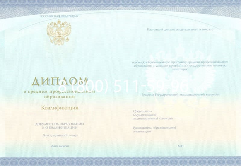 Купить Диплом о среднем образовании (Спецбланк) 2014-2024 года в Елце