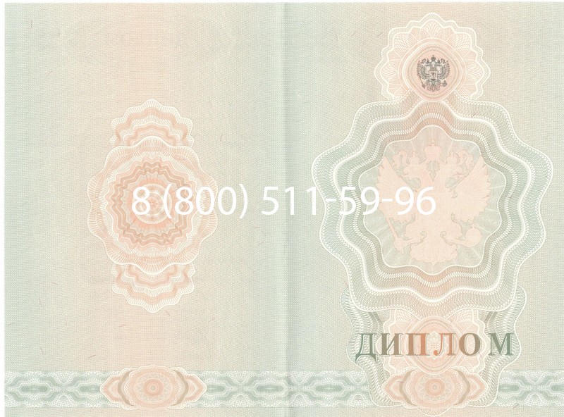 Купить Диплом ПТУ 2007-2010 годов в Елце