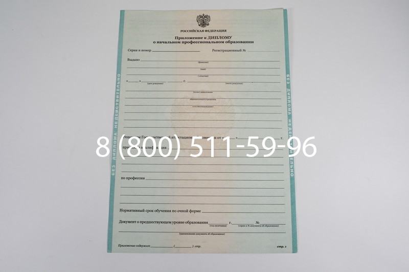 Диплом ПТУ 2014-2024 года в Елце Диплом ПТУ 2014-2024 года в Елце